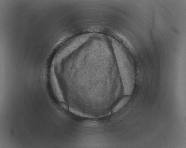 X0000116490354200912292110