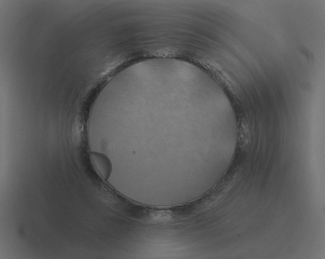 X0000116490355200912292110