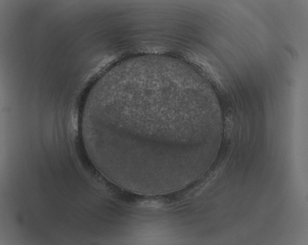 X0000116490358200912292110