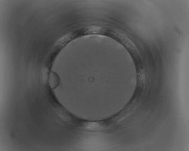 X0000116490361200912292110