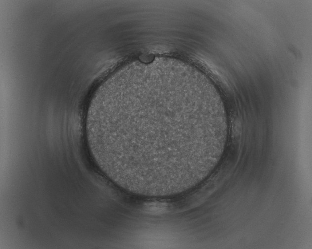 X0000116490362200912292110