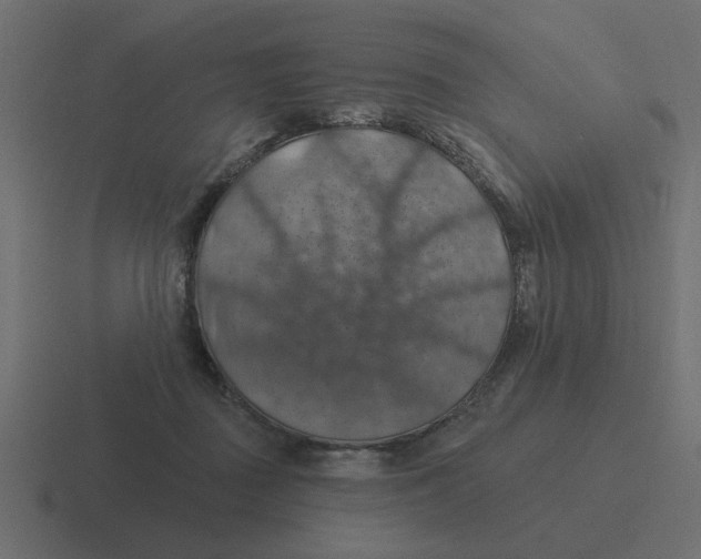 X0000116490363200912292110