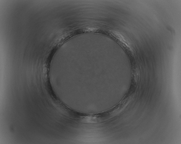 X0000116490366200912292110