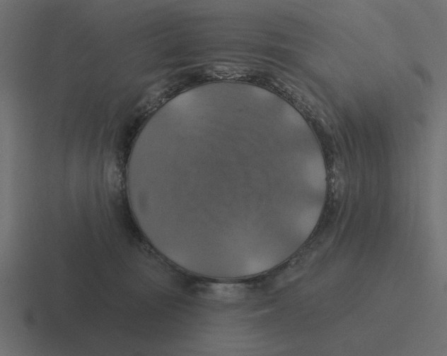 X0000116490371200912292110