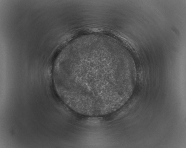 X0000116490373200912292110