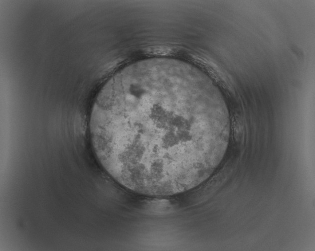 X0000116490374200912292110