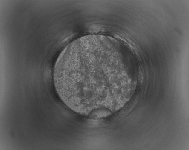 X0000116490375200912292110