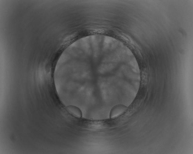 X0000116490377200912292110