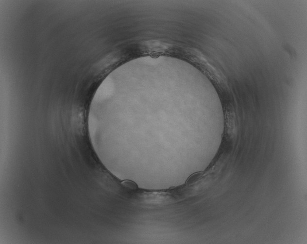 X0000116490378200912292110