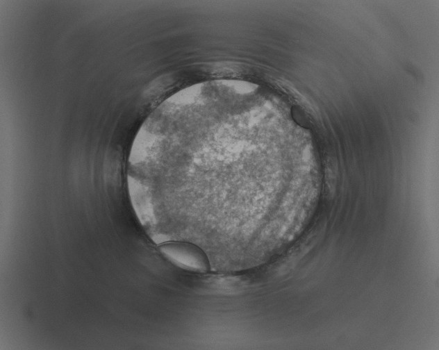 X0000116490379200912292110