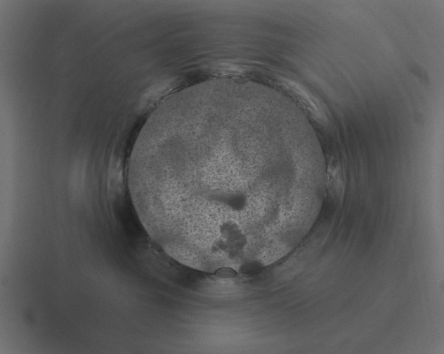 X0000116490381200912292110