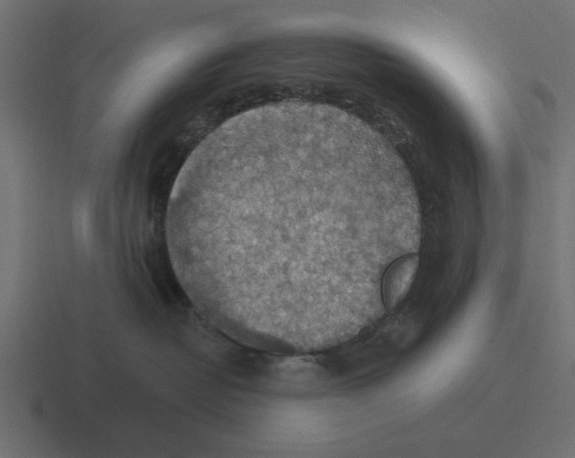 X0000116490382200912292110