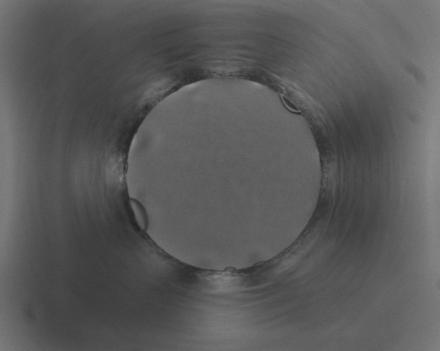 X0000116490383200912292110