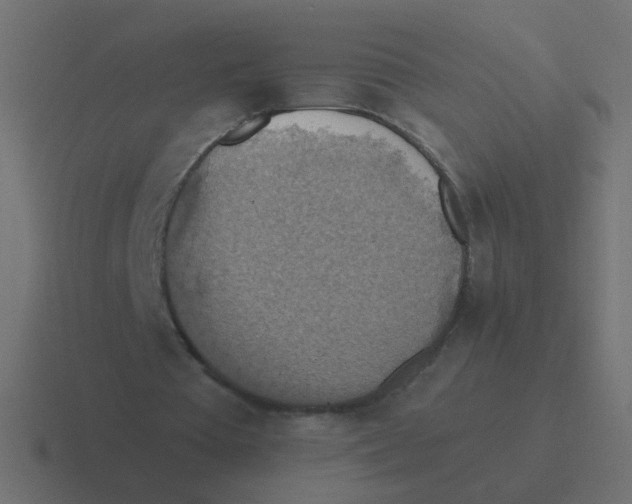 X0000116490385200912292109