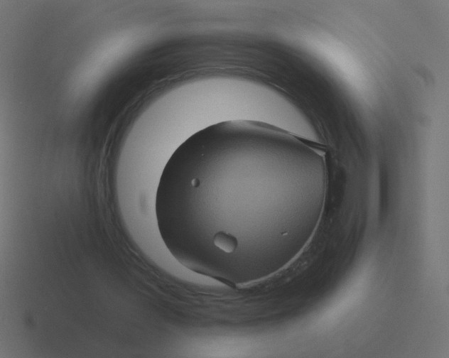 X0000116490387200912292109