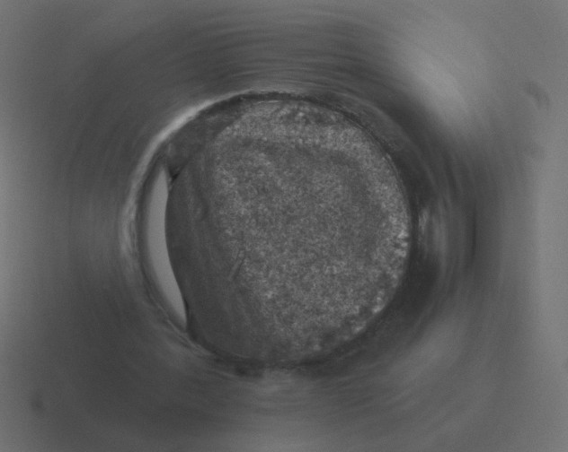 X0000116490388200912292109