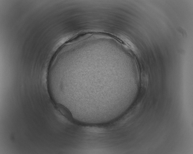 X0000116490389200912292109