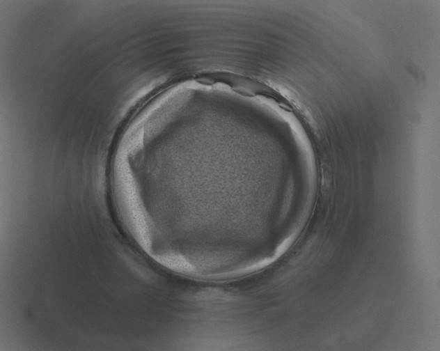 X0000116490390200912292109