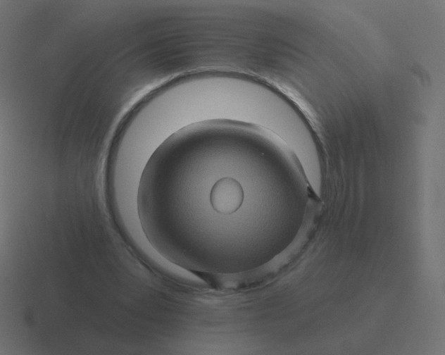 X0000116490391200912292109