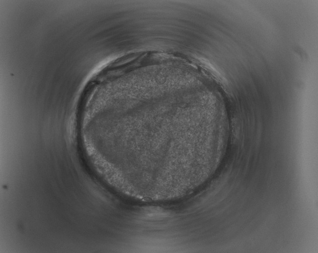 X0000116490392200912292109