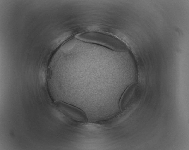 X0000116490393200912292109