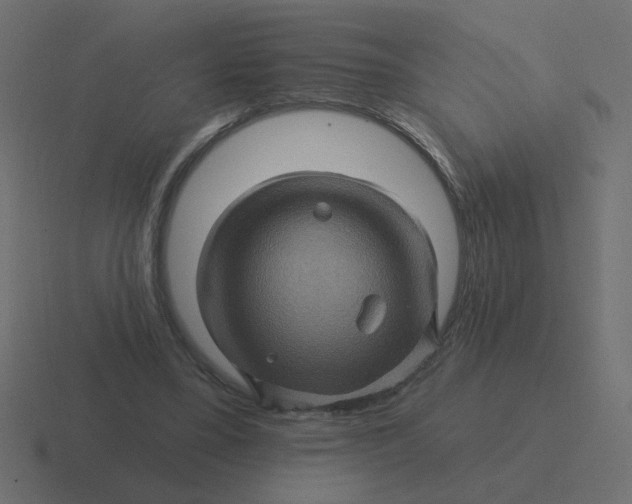 X0000116490395200912292109