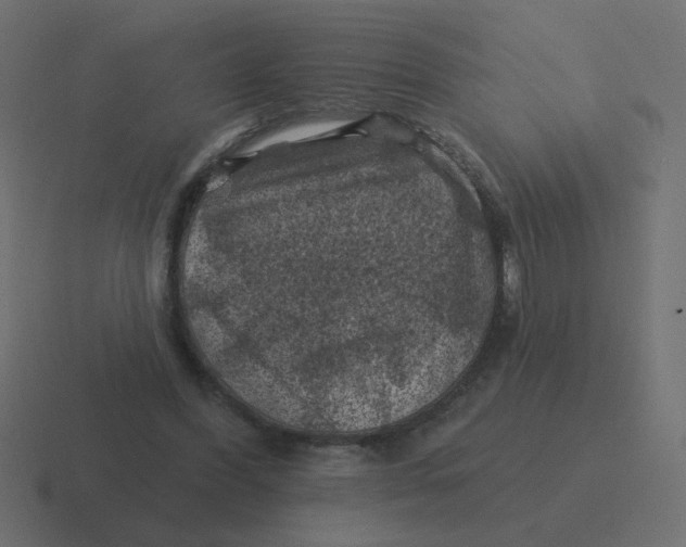 X0000116490396200912292109