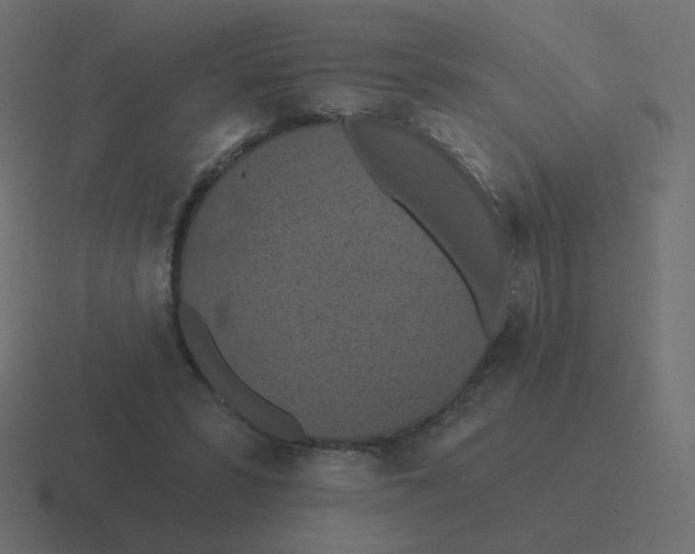 X0000116490399200912292109