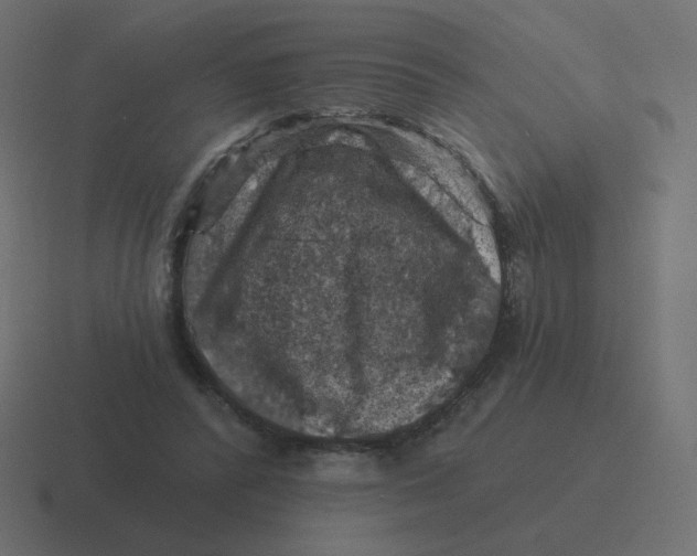 X0000116490400200912292109