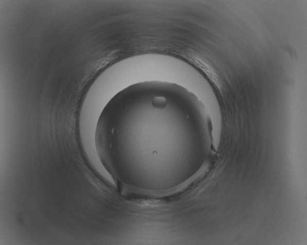 X0000116490401200912292109