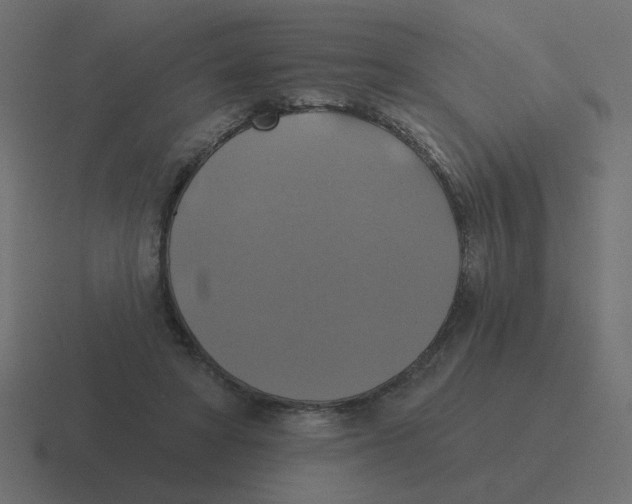 X0000116490402200912292109