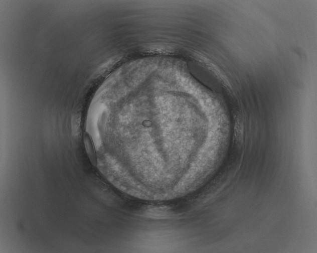 X0000116490403200912292109