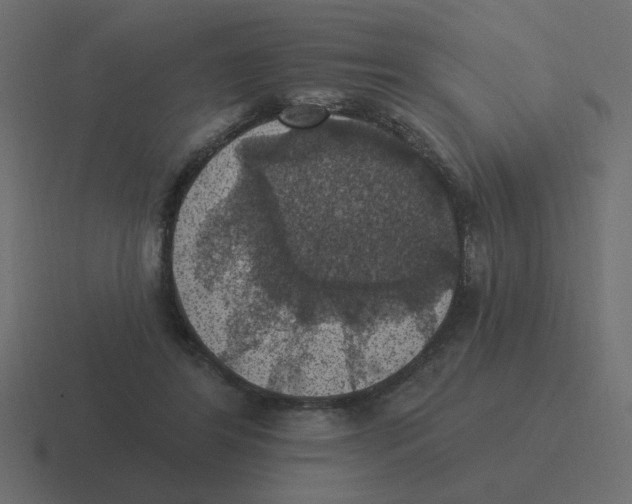 X0000116490404200912292109