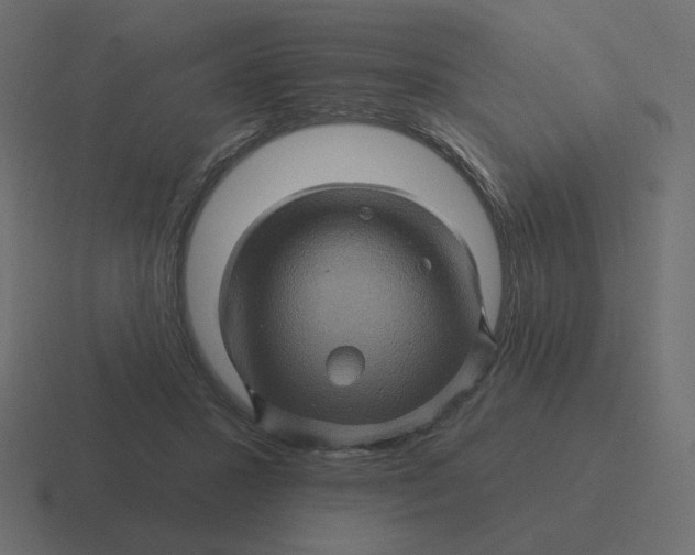 X0000116490407200912292109