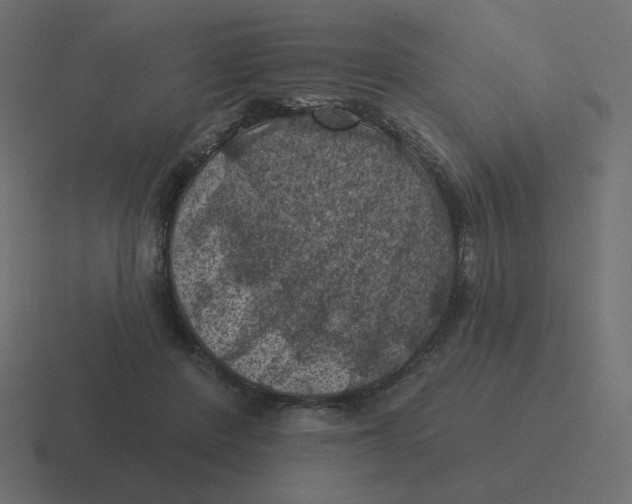 X0000116490408200912292109