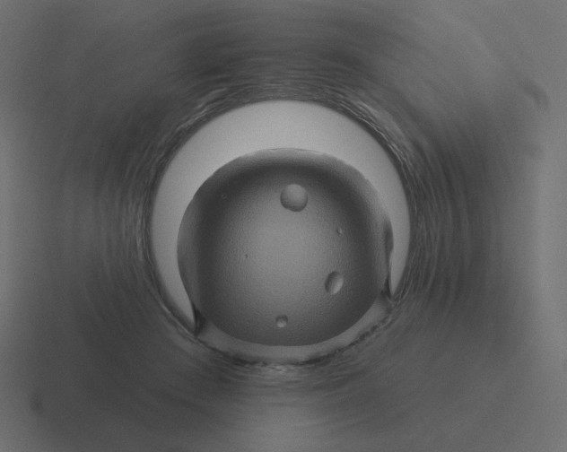 X0000116490409200912292109