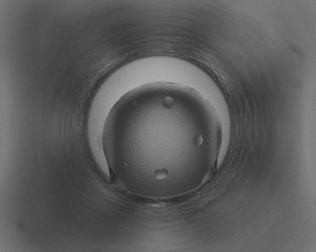 X0000116490411200912292109