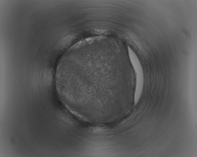 X0000116490412200912292109