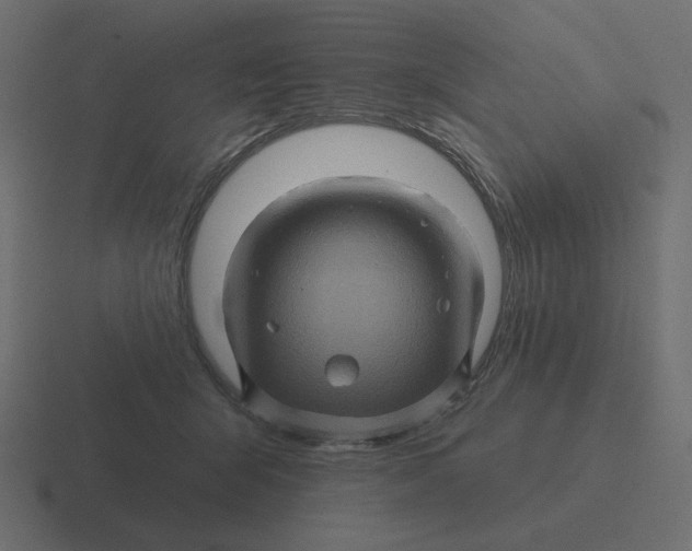 X0000116490415200912292109