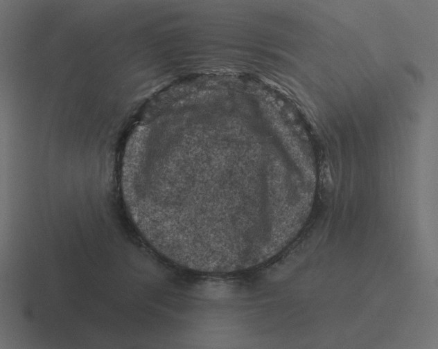 X0000116490416200912292109