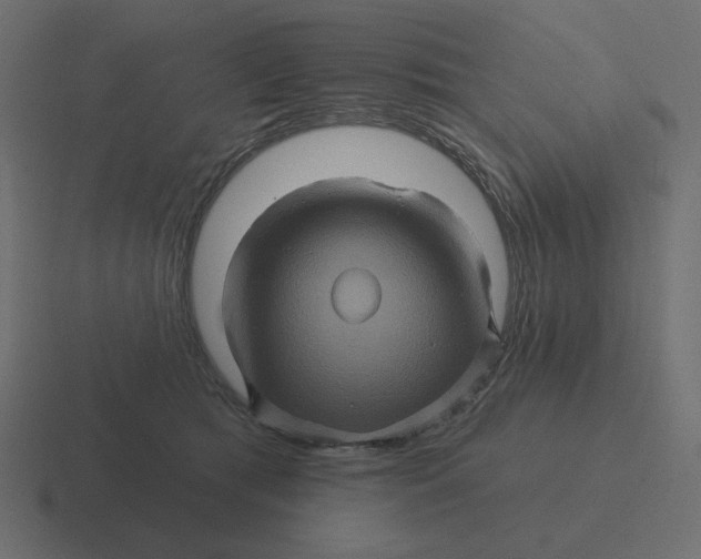 X0000116490417200912292109