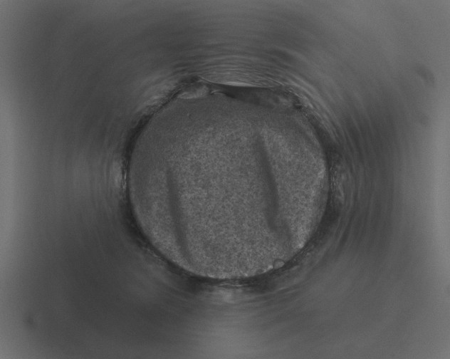 X0000116490420200912292109