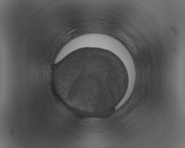 X0000116490421200912292109