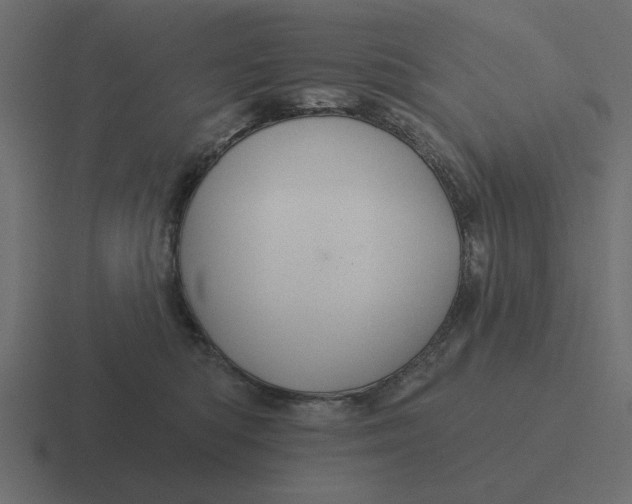 X0000116490422200912292109