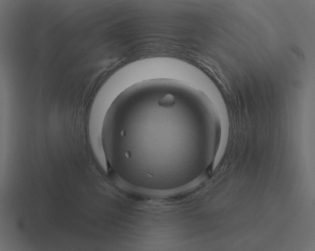 X0000116490423200912292109