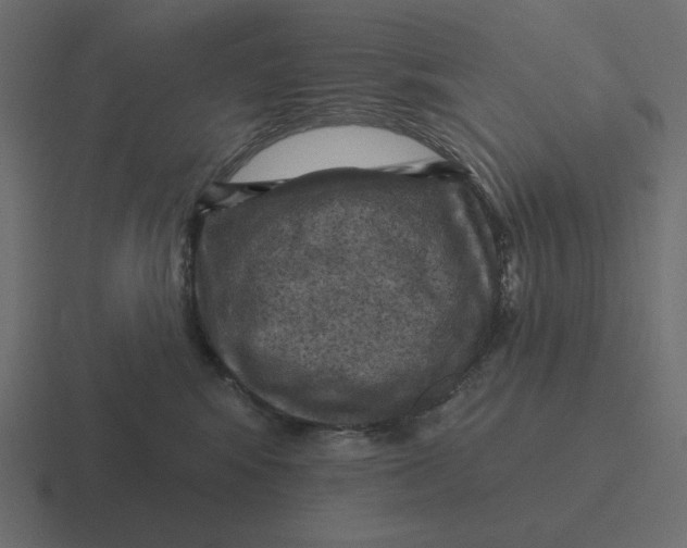 X0000116490424200912292109