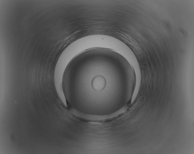 X0000116490425200912292109