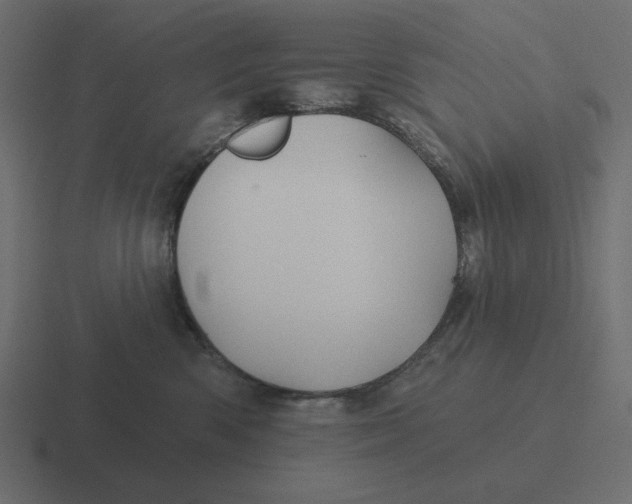 X0000116490426200912292109