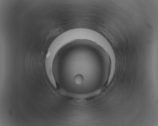 X0000116490427200912292109