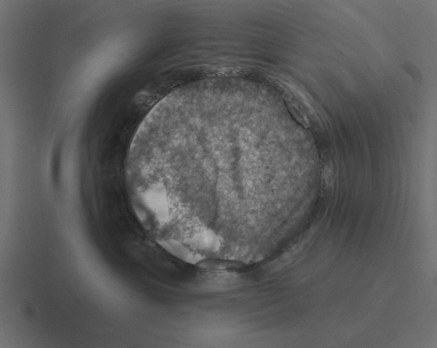 X0000116490429200912292109